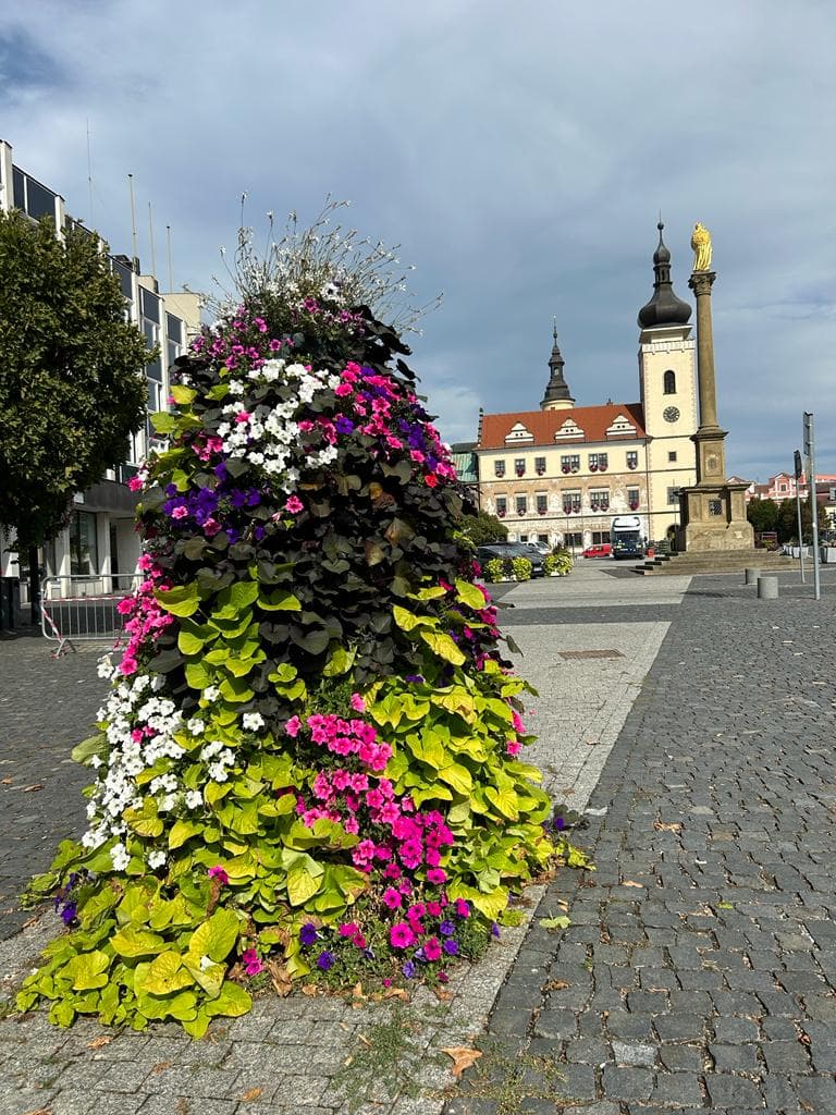 Květinová pyramida na náměstí